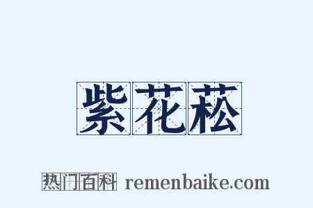 紫花菘是什么意思的图片